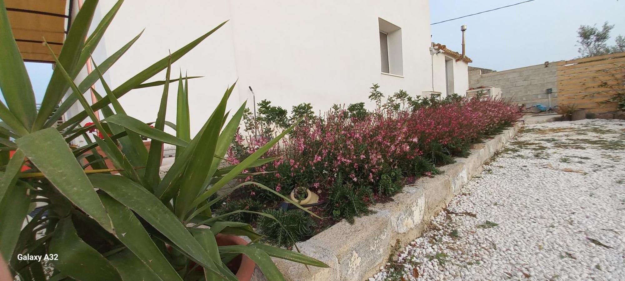 Almademari Giglio Casa Vacanza Пакино Номер фото